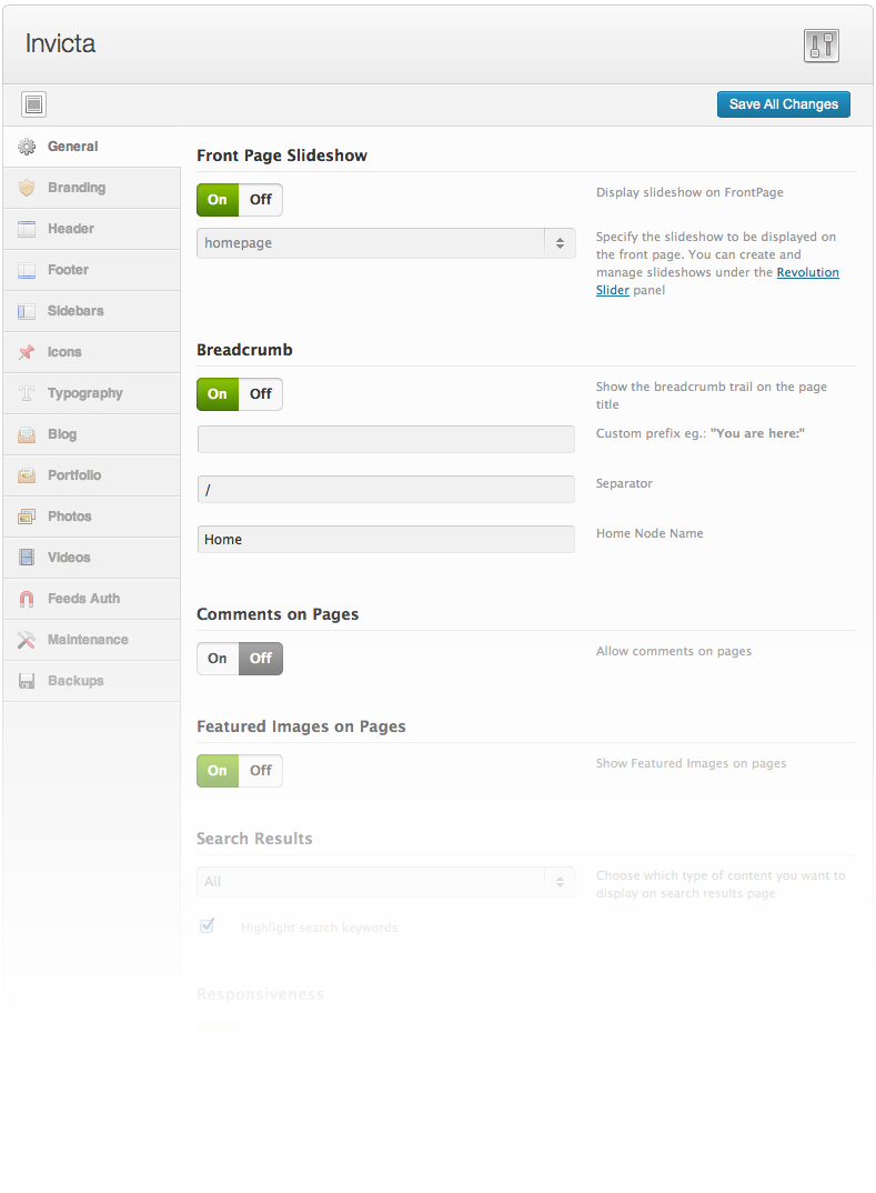 features-theme-options