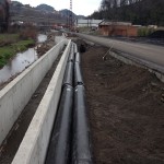 IMG_1100-catalagizi 1